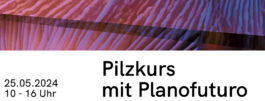 plankton